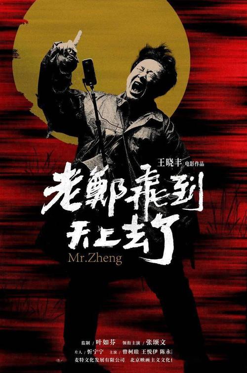 定制波兰驾照